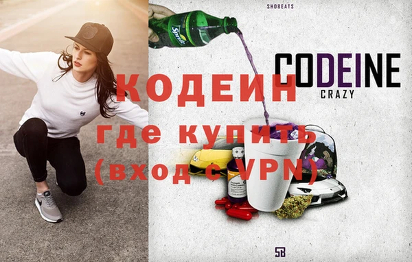 СК Бердск