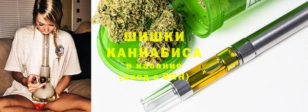 СК Бердск