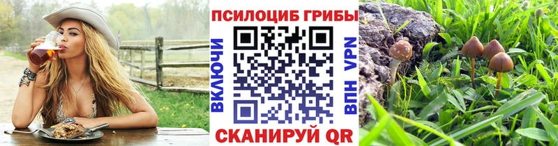 Галлюциногенные грибы Cubensis  как найти закладки  Хабаровск 