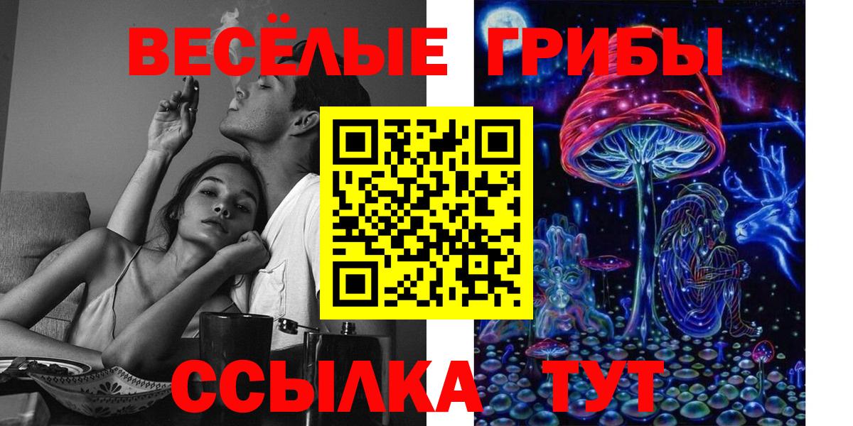 как найти наркотики  Галлюциногенные грибы MAGIC MUSHROOMS  Вход с VPN  Хабаровск 