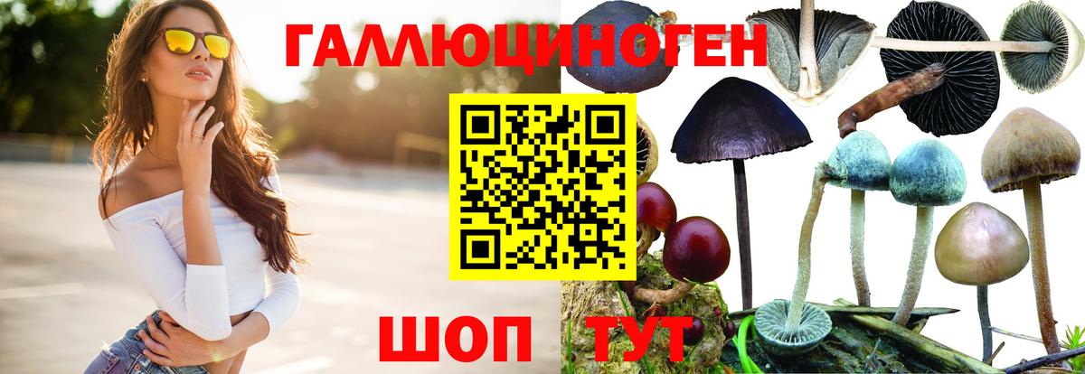Псилоцибиновые грибы GOLDEN TEACHER Хабаровск