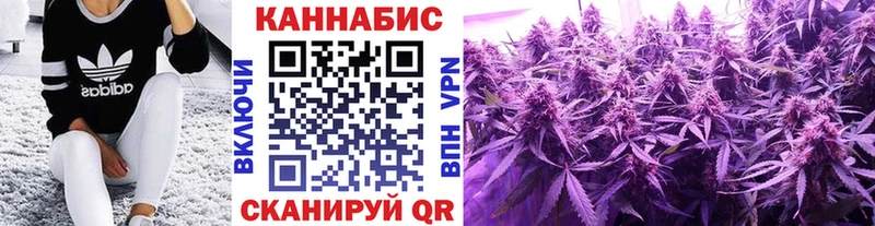 Бошки марихуана VHQ  кракен ONION  Хабаровск  цены наркотик 